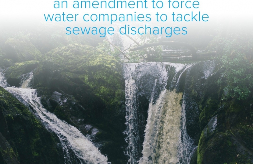 I am supporting an amendment to force water companies to tackle sewage discharges